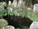 【鏡ヶ池】車で約3分、稲田姫が池の水を鏡の代わりとしていたとされます。この辺りは八頭地区と言います