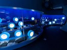 【展示室2階・ナイトミュージアム】ご宿泊のお客様限定で毎日19:00〜21:00の間で開催しています。