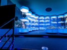 【展示室2階・ナイトミュージアム】ご宿泊のお客様限定で毎日19:00〜21:00の間で開催しています。