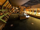 【展示室1階・ナイトミュージアム】ご宿泊のお客様限定で毎日19:00〜21:00の間で開催しています。