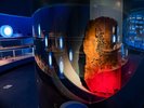 【2階博物館】古代に生息していた両生類の全身化石が展示してあります。