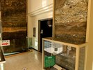 【1階博物館・入口】一階の展示室入り口の横には地層の剥ぎ取り標本が左右に展示してあります。