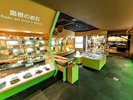 【1階博物館】展示してある岩石には触ることのできるものもあります。