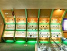 【1階博物館】黄鉄鉱や白雲母など珍しい鉱物の結晶を展示しています。