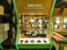 【1階博物館】島根県で産出した岩石、鉱物を一堂に展示しています。