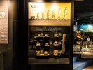 【1階博物館】人類の頭が進化する過程をパネルとともに展示しています。
