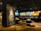 【1階博物館】展示室内では植物化石も多数展示しています。現生種に近い化石もあります。