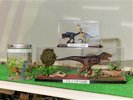 【ワークショップ・各種体験】恐竜のジオラマ作り,スノードーム作り体験などを不定期開催していす。