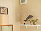 【3人部屋の恐竜ルーム・303】シングルベットが3つ並んだティラノサウルスのお部屋です。