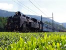 大井川鉄道(島田市)