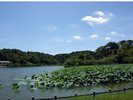 蓮華寺池公園(藤枝市)