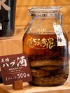 巨大ハブ入りハブ酒『南部億万長蛇』1ショット500円