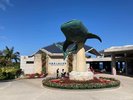 【美ら海水族館】車で1時間