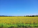 島根ワイナリー