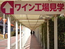島根ワイナリー