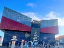 【海遊館】関西エリア屈指の水族館。
