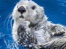【海遊館】関西エリア屈指の水族館。