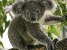 【天王寺動物園】日本最古の動物園のひとつです