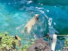 【天王寺動物園】日本最古の動物園のひとつです