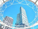 【あべのハルカス】地上300m! 日本一高いビルです。