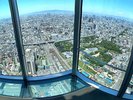 【あべのハルカス】地上300m! 日本一高いビルです。