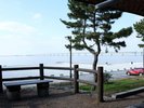 りんくう公園 夕日専用ベンチ