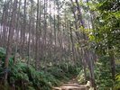 熊野古道
