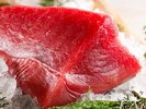 紀州勝浦産生マグロ