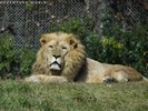 アドベンチャーワールド