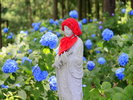 「あじさい曼荼羅園」には、フォトジェニックなお地蔵様が置かれており、紫陽花に囲まれた姿が人気