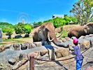 やさしい瞳の草食動物、迫力の肉食動物、ありのままの姿に出会える陸の動物たちの世界。