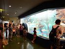 【魚津水族館】車で45分 富山湾の魚や世界の珍魚を展示をする国内で現存する最古の水族館です