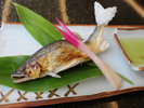 【夏メニュー 鮎の塩焼き】別名”香魚”とも呼ばれる富山の夏の味覚です シンプルな塩焼きをタデ酢で