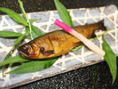 【夏メニュー 鮎の甘露煮】新鮮な鮎を丸ごと甘辛く煮込んでいます 骨まで柔らかく食べることができます