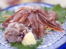 【春メニュー ホタルイカ 刺身】富山の春の美味 特に”竜宮そうめん(ゲソの刺身)”は珍味中の珍味です