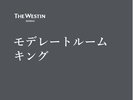 ���f���[�g���[�� �L���O