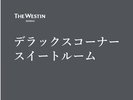 �f���b�N�X�R�[�i�[�X�C�[�g���[��