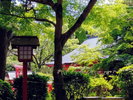宮地嶽神社