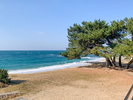 志賀島