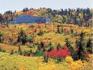 紅葉に囲まれたホテル