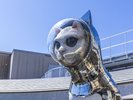 SHIP'S CAT