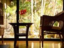 【本館 8畳和室】お庭の景色を眺めながら、ごゆっくりお寛ぎください。