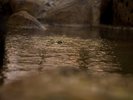 体の芯まで温まる、心も癒される温泉