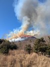 二月にお部屋から見える大室山の山焼きの様子です。