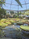 熱川バナナワニ園の写真です。