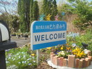 2つ目の看板とさんぽみちのお花畑です。道行く人をたのしませています。