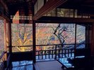 瑠璃光院〜紅葉ライトアップ〜