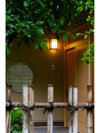 �V���F����