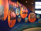 【観光画像】札幌市豊平川さけ科学館