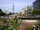 【観光画像】大通公園